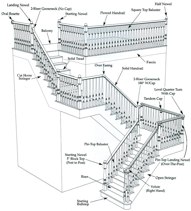 stair-anatomy